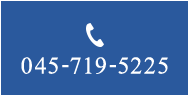 045-719-5225